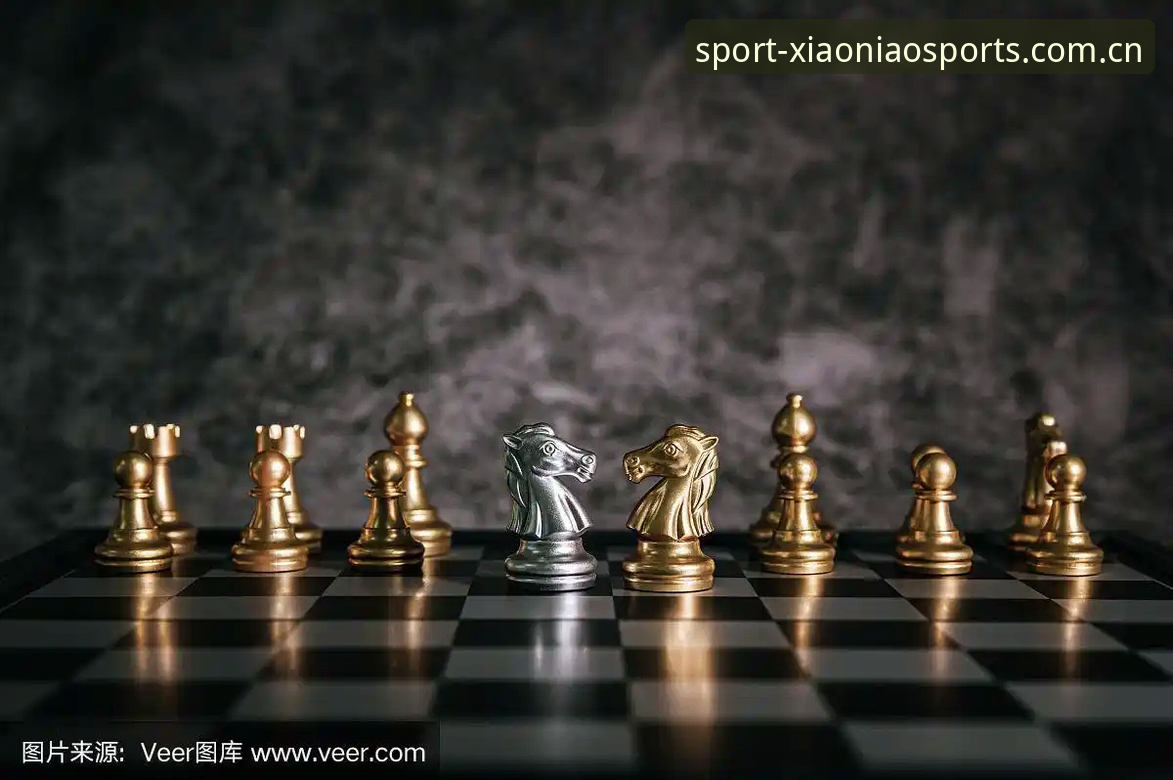 小鸟棋牌平台详解：值得信赖的体育娱乐之选